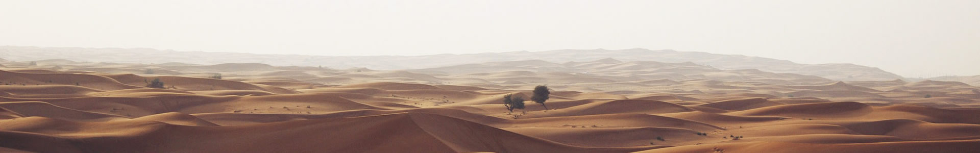 нģ޹˾